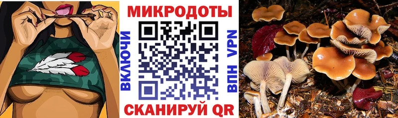 Галлюциногенные грибы прущие грибы  Урай 